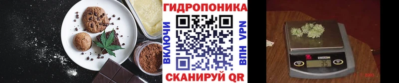Cannafood конопля  дарнет шоп  Барыш 