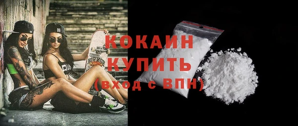 индика Абинск