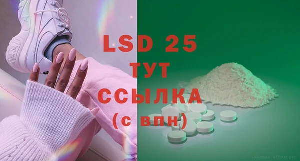 индика Абинск