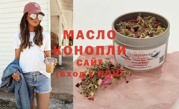 индика Абинск