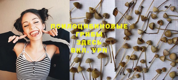 индика Абинск
