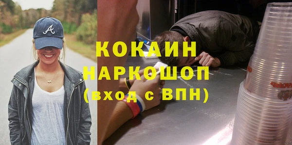 индика Абинск