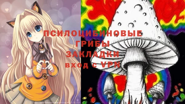 индика Абинск