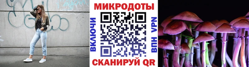 Псилоцибиновые грибы мицелий  Барыш 